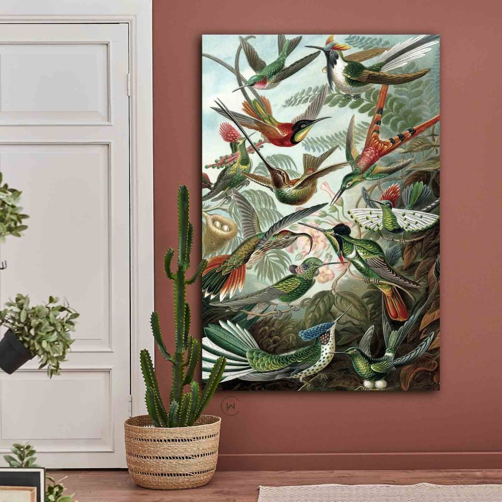Kolibries van Ernst Haeckel aan een oudroze muur naast een witte deur en een cactus in een mand