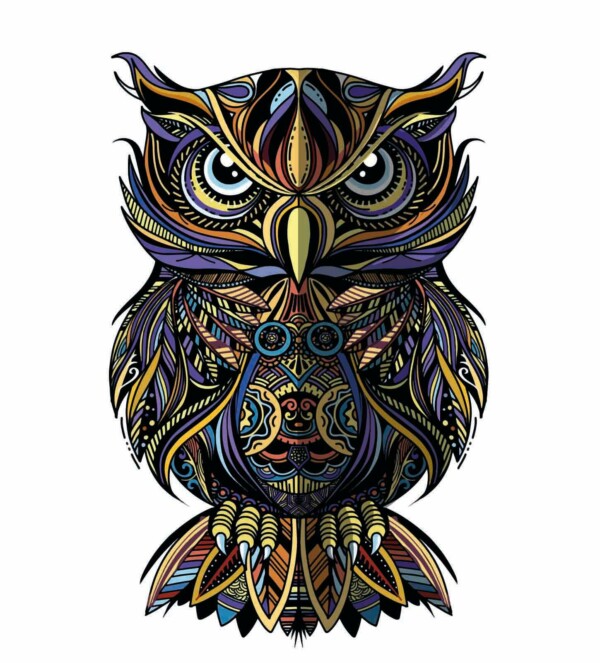 Pop Art Owl Portrait muurdecoratie