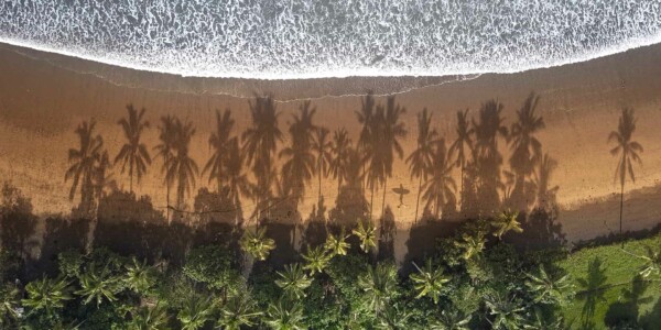 Beach Top Down - muurdecoratie natuur