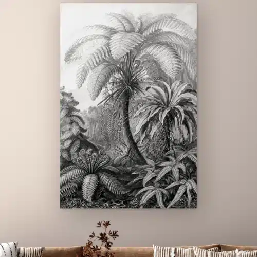 Filicinae zwart wit van Ernst Haeckel