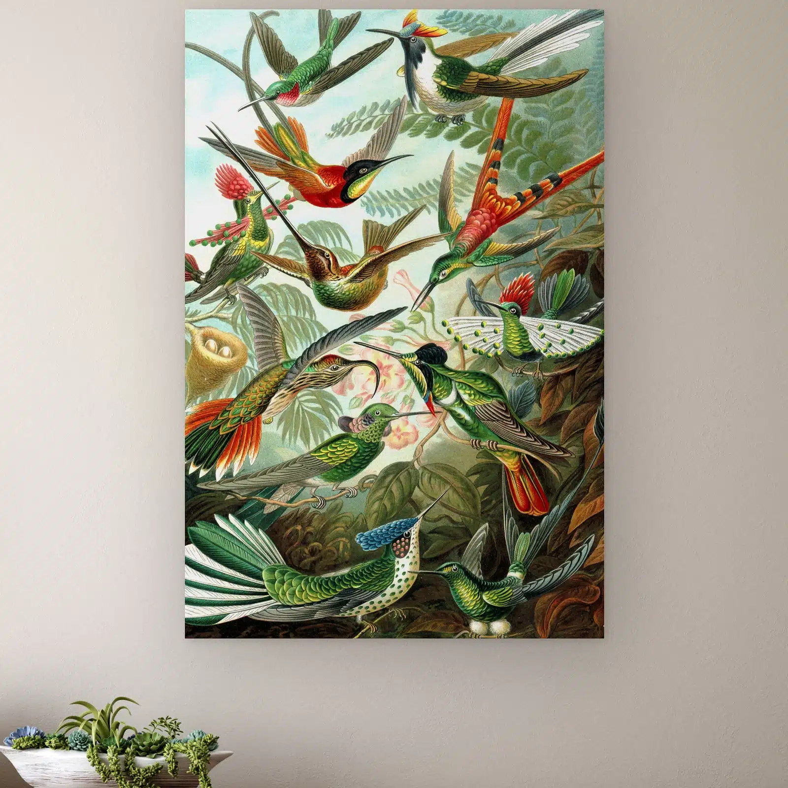 Kolibries van Ernst Haeckel aan de muur boven een houten dressoir met planten