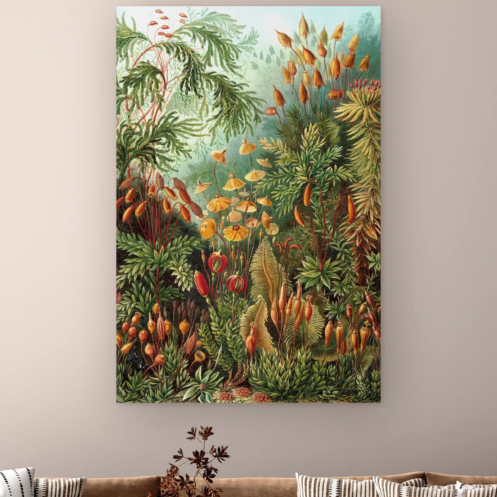 Muscinae van Ernst Haeckel aan de muur boven een bank met gestreepte kussens