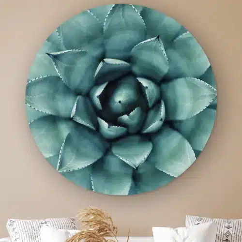 Muurcirkel Agave plant aan de muur boven een witte bank met kussens