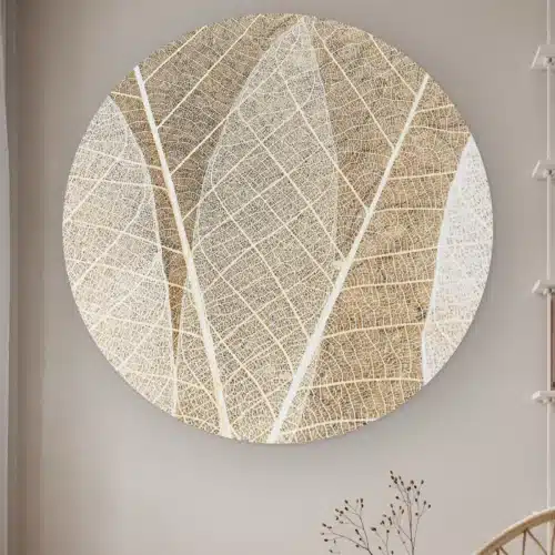 Muurcirkel Blad textuur aan de muur in een lichte kamer met droogbloemen