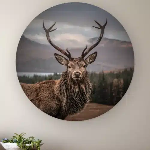 Muurcirkel Edelhert aan de muur boven een houten dressoir met planten