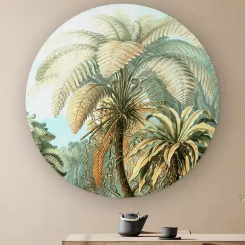 Muurcirkel Filicinae in het kleur van Ernst Haeckel aan de muur boven een houten tafel met theepot