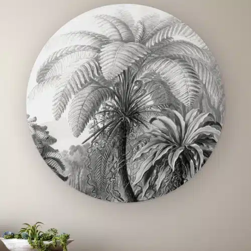 Muurcirkel Filicinae zwart wit van Ernst Haeckel aan de muur boven een houten dressoir met planten