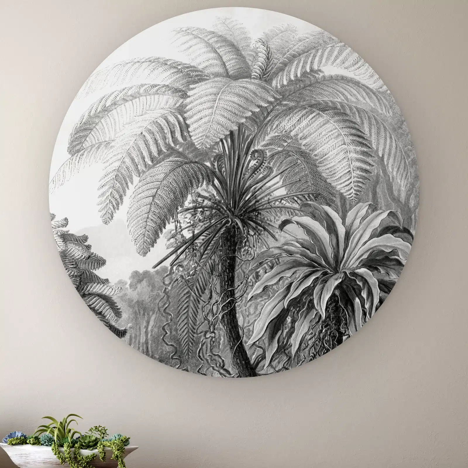 Muurcirkel Filicinae zwart wit van Ernst Haeckel aan de muur boven een houten dressoir met planten