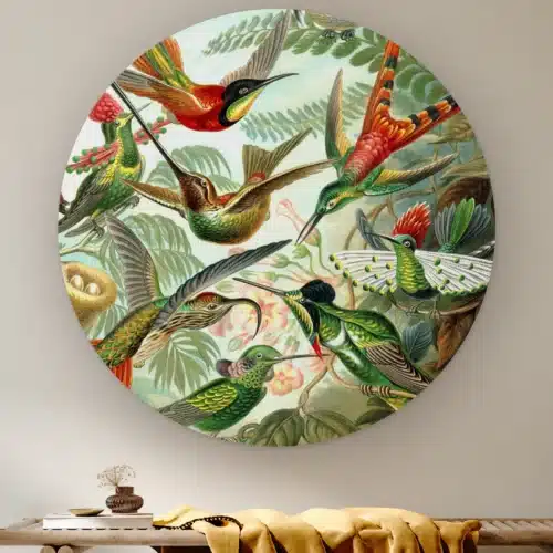 Muurcirkel Kolibries van Ernst Haeckel aan de muur boven een houten bank met een okergele plaid