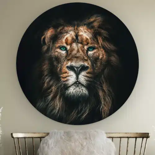 Muurcirkel Leeuw portret aan de muur boven een houten bankje met schapenvacht