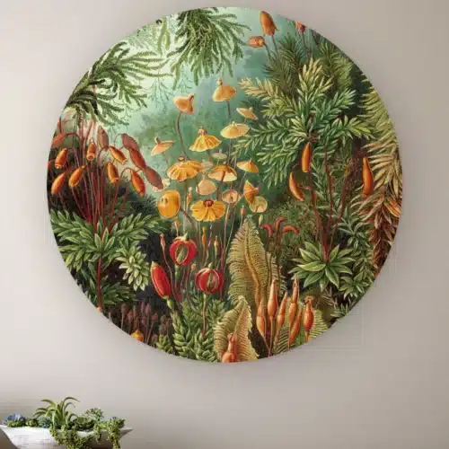 Muurcirkel Muscinae van Ernst Haeckel aan de muur boven een houten dressoir met planten