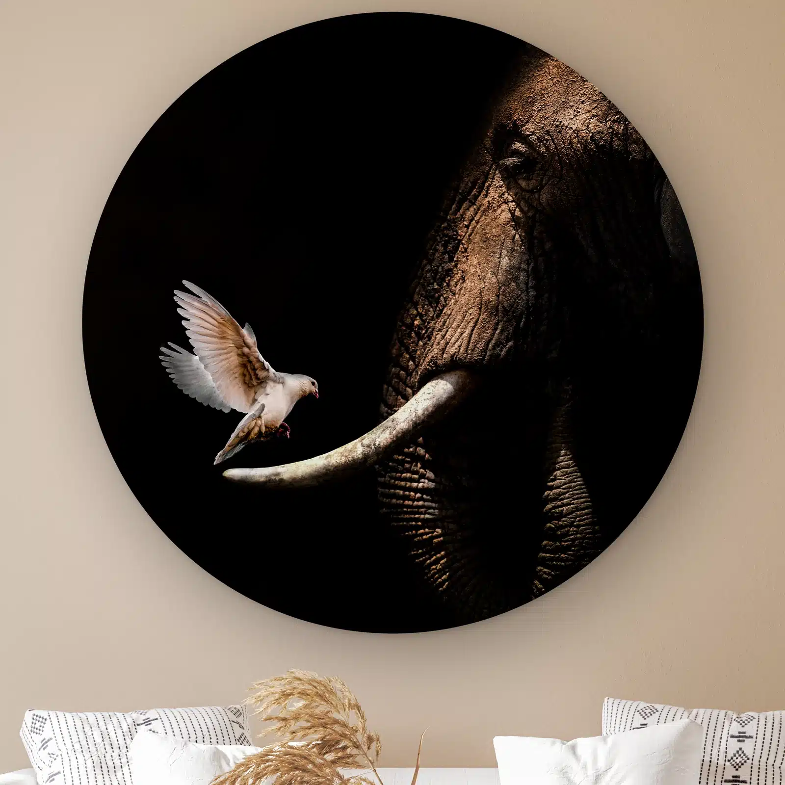 Muurcirkel Olifant met duif aan de muur boven een witte bank met kussens
