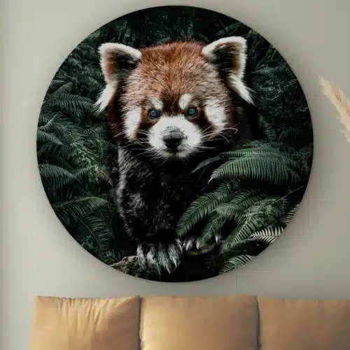Muurcirkel Rode panda aan de muur boven een cognac bank