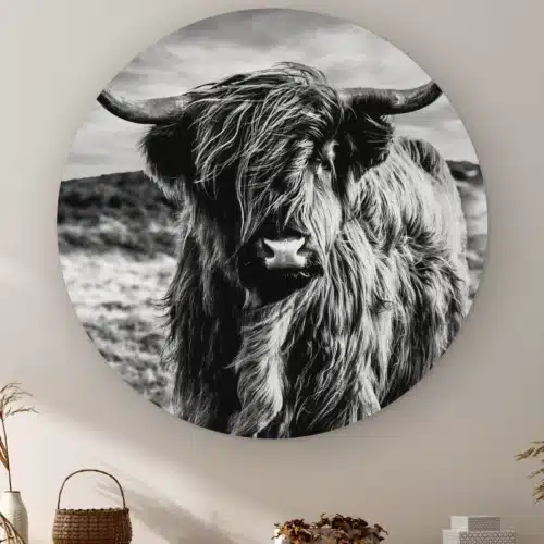 Muurcirkel Schotse hooglander zwart wit aan de muur boven een kast met een rieten mandje