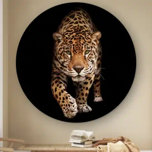 Muurcirkel Wilde panter aan de muur boven een houten bankje met boeken
