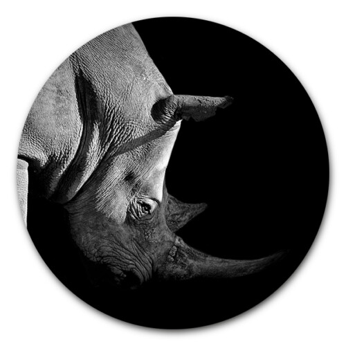 Muurcirkel Rhino