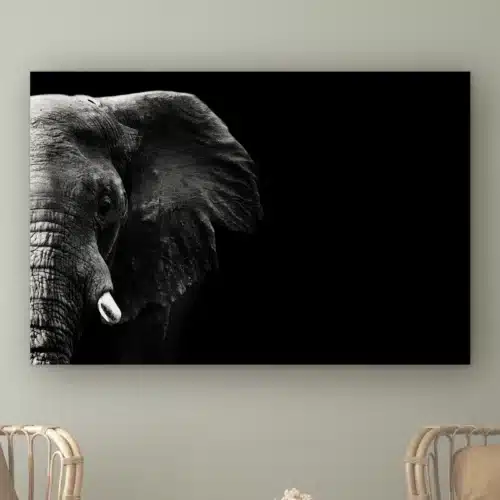 Olifant close-up aan de muur boven twee rotan stoelen