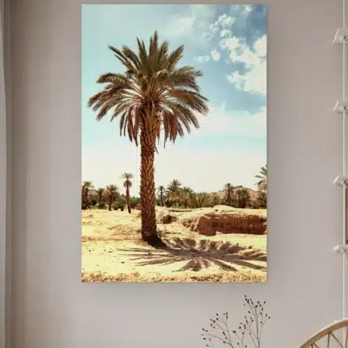 Palmboom aan de muur in een lichte kamer met droogbloemen