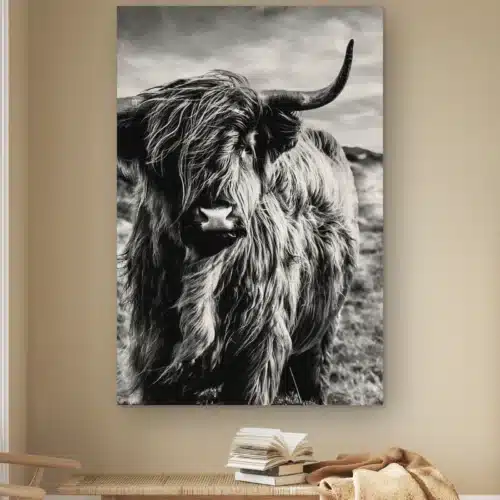 Schotse hooglander zwart wit als artframe