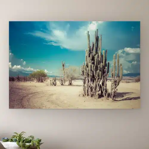 Woestijncactus familie aan de muur boven een houten dressoir met planten