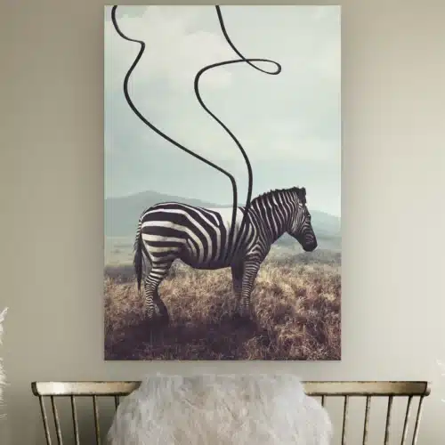 Zebra zonder strepen aan de muur boven een houten bankje met schapenvacht