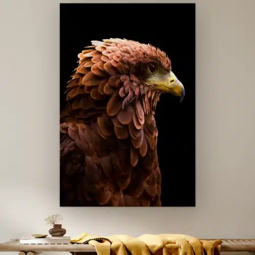 Bateleurarend aan de muur boven een houten bank met een okergele plaid