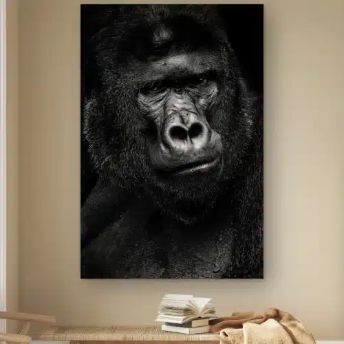 Gorilla portret aan de muur boven een houten bankje met boeken