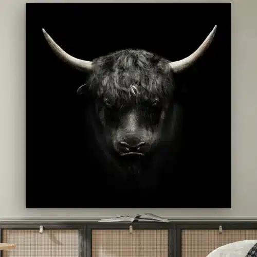 Jak aan de muur boven een dressoir met rotan deurtjes