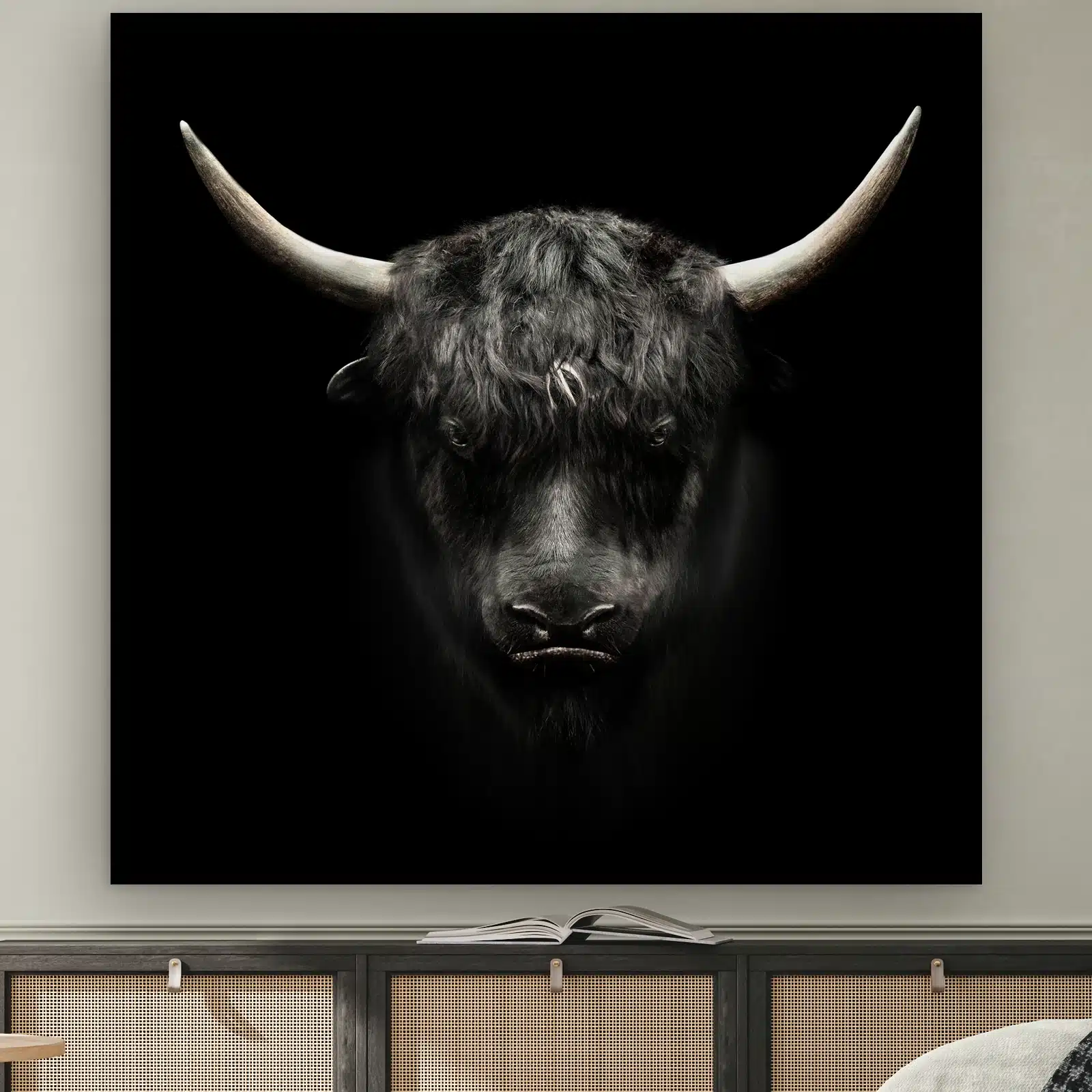 Jak aan de muur boven een dressoir met rotan deurtjes