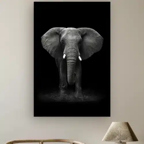 Olifant portret aan de muur boven een rotan stoel en een tafellamp