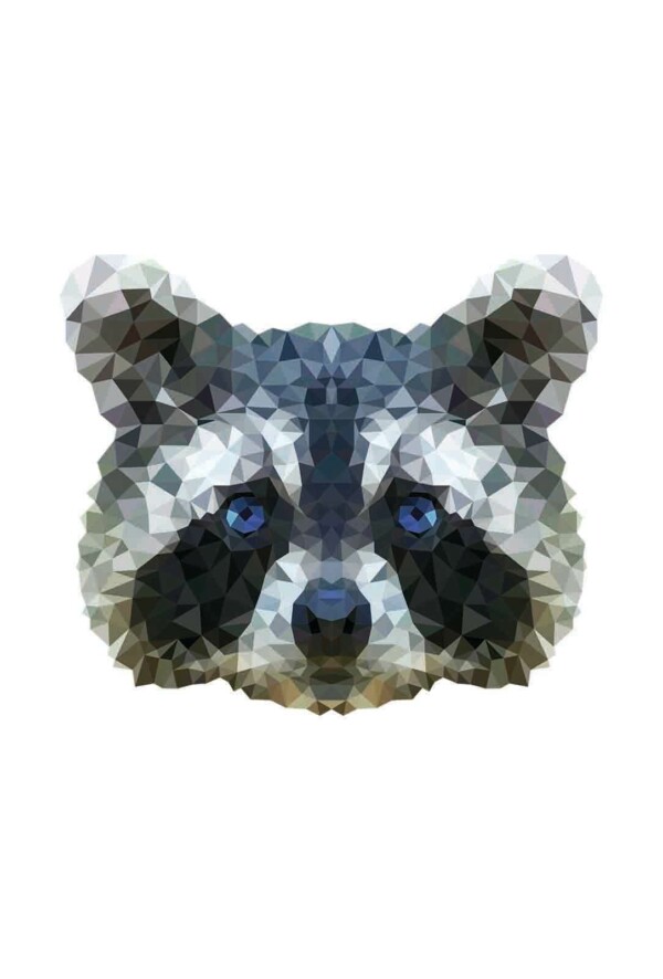 Pixxi Raccoon wanddecoratie kinderkamer