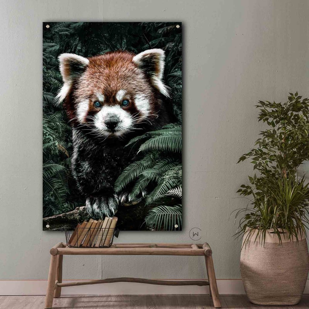 Rode panda boven een bamboe bankje met boeken, naast een plant in een mand