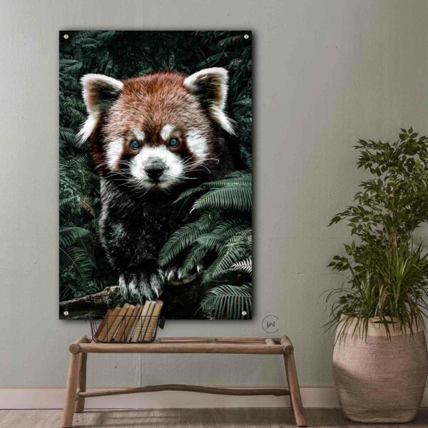 Wanddecoratie dieren - Red Panda