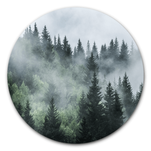Misty Forest - ronde natuur muurdecoratie