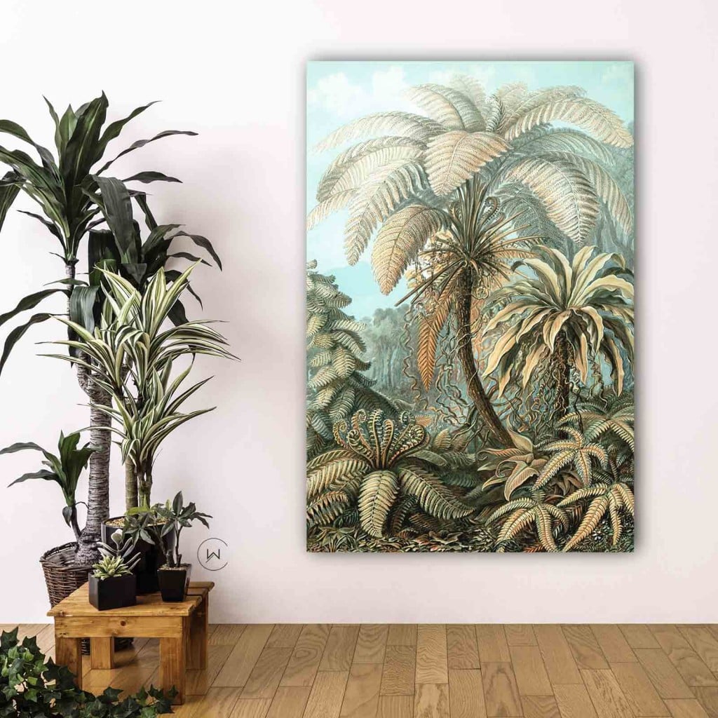 Filicinae in kleur aan een lichtroze wand naast hoge kamerplanten op een houten krukje