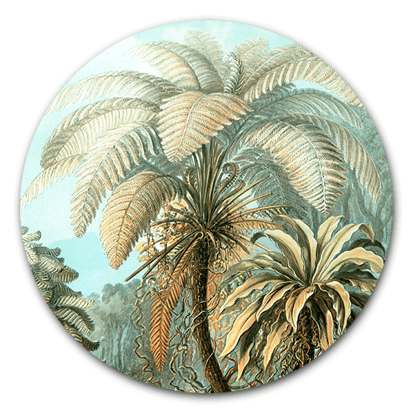 Muurcirkel Filicinae in het kleur van Ernst Haeckel.