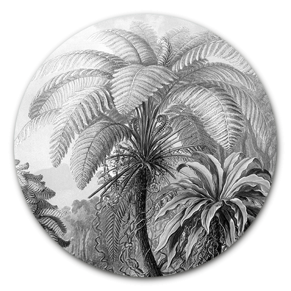Muurcirkel Muurcirkel Filicinae zwart wit van Ernst Haeckel