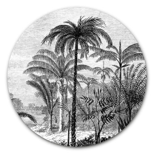 Muurcirkel Palm Jungle - ronde botanische wanddecoratie