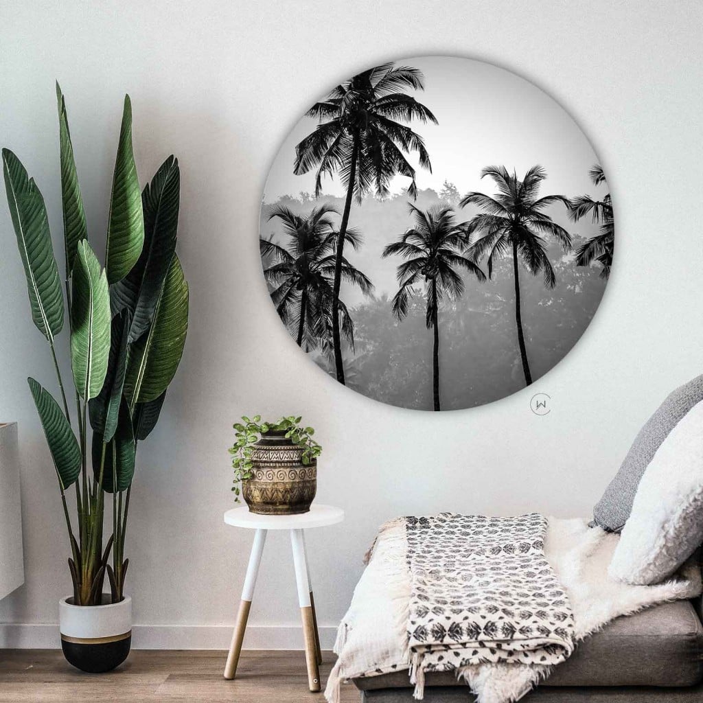 Muurcirkel palmbomen aan een witte wand boven een lage bank met een plaid en een bananenplant