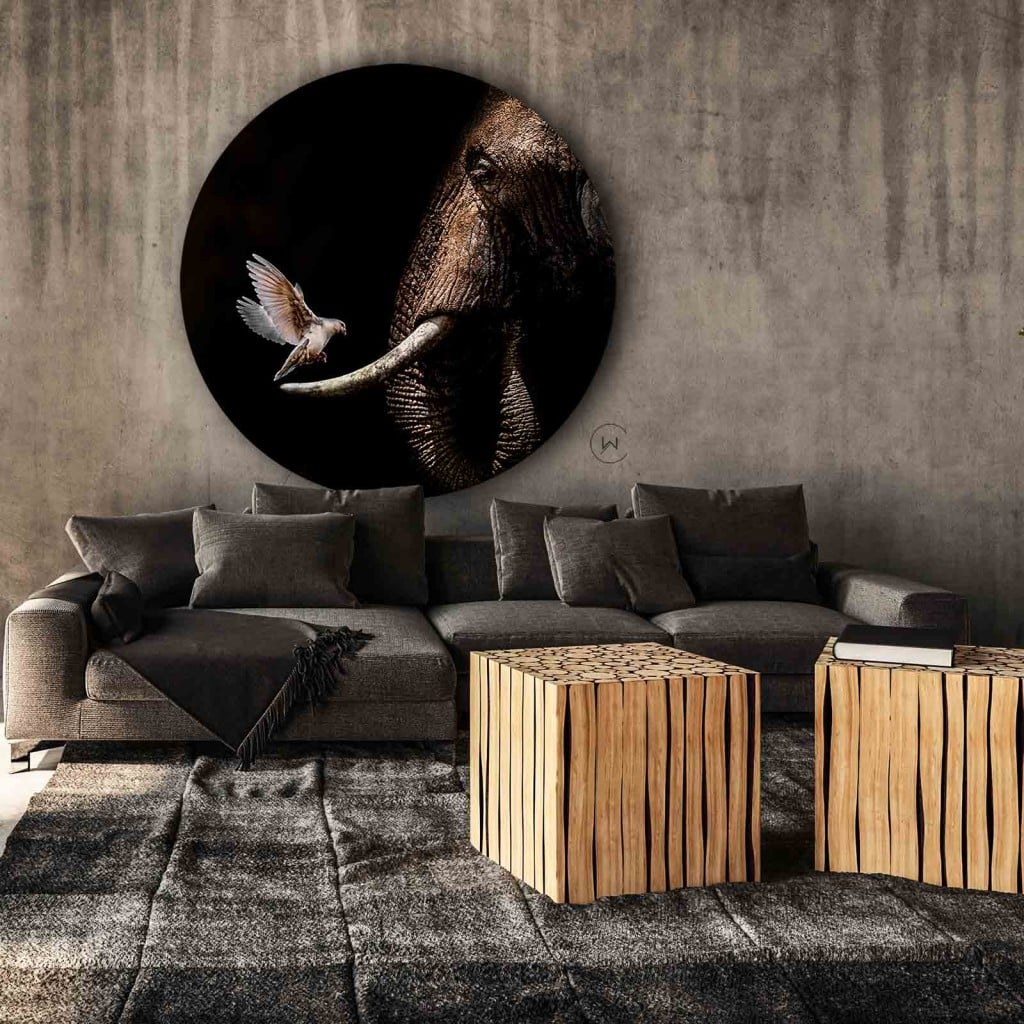 Muurcirkel olifant met duif aan een betonlook wand boven een grijze hoekbank en houten blokken