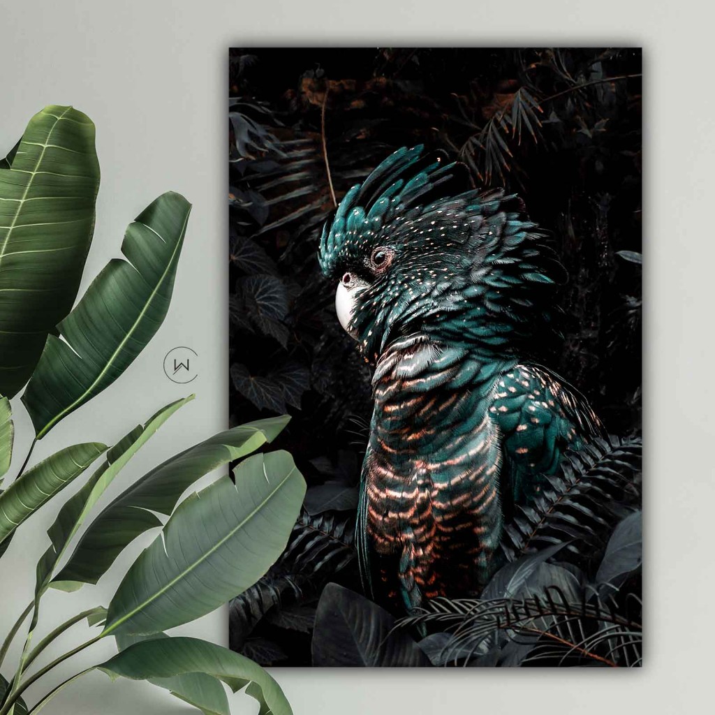 Jungle kaketoe aan een lichte muur naast een plant met grote groene bladeren