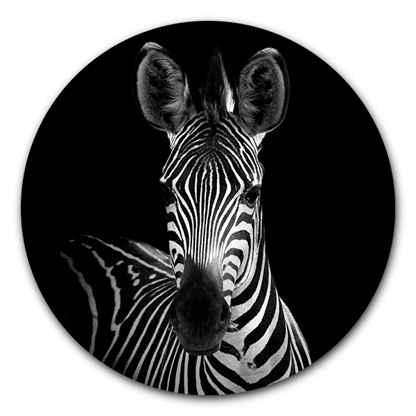 Muurcirkel Zebra Portrait