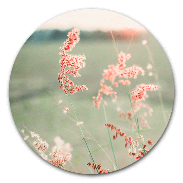 Muurcirkel Pink Grass