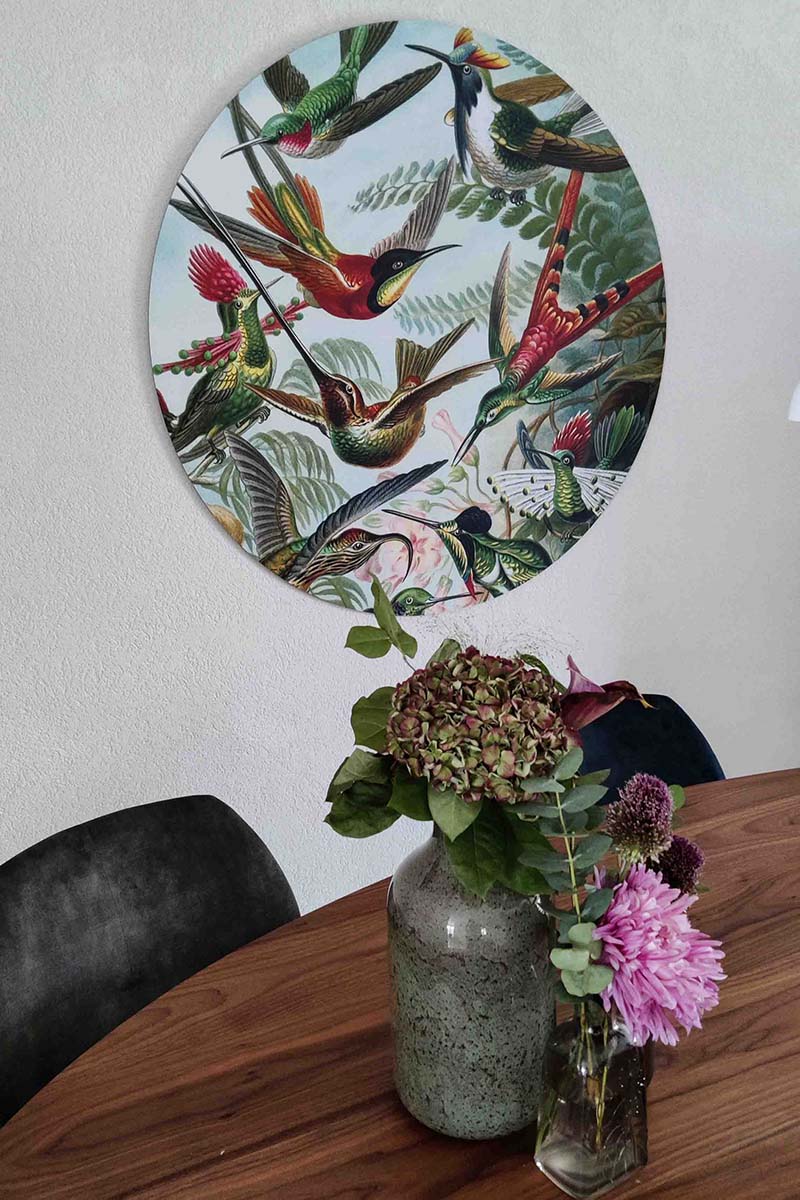 Kolibries van Ernst Haeckel sfeerfoto klant