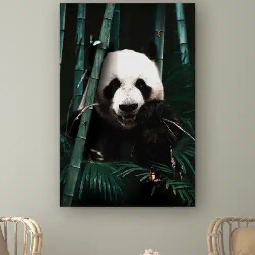 Jungle reuzenpanda