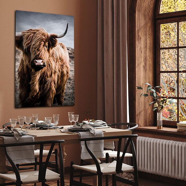 Schotse hooglander kleur in een eetkamer boven een gedekte tafel naast een boograam