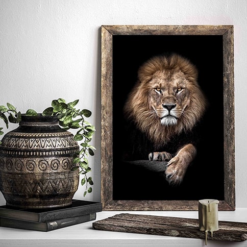 lion poster klein