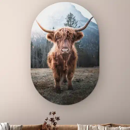 Muurovaal Hooglander aan de muur boven een bank met gestreepte kussens
