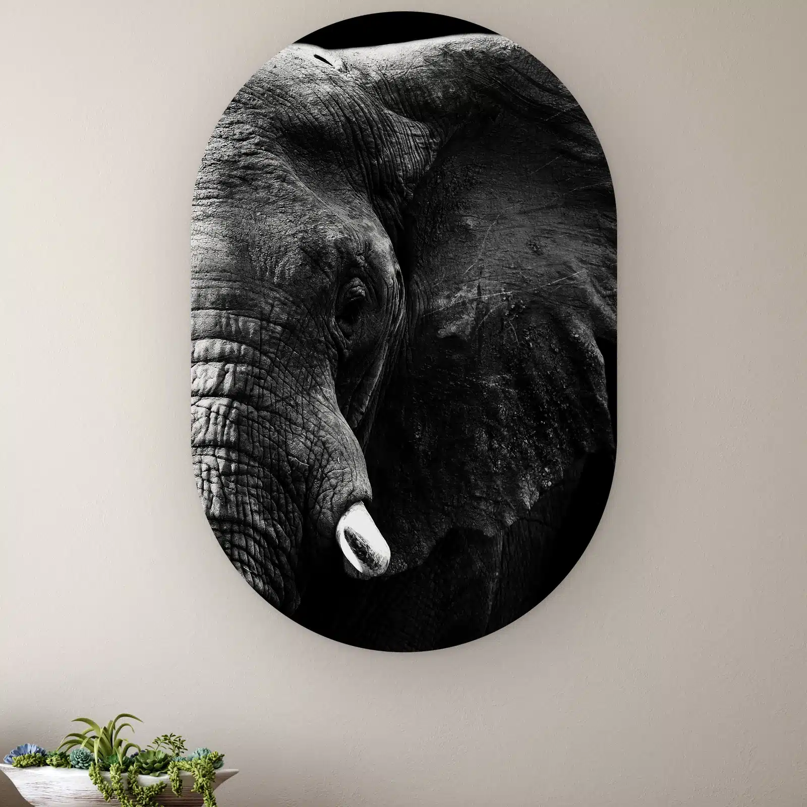 Muurovaal Olifant close-up aan de muur boven een houten dressoir met planten
