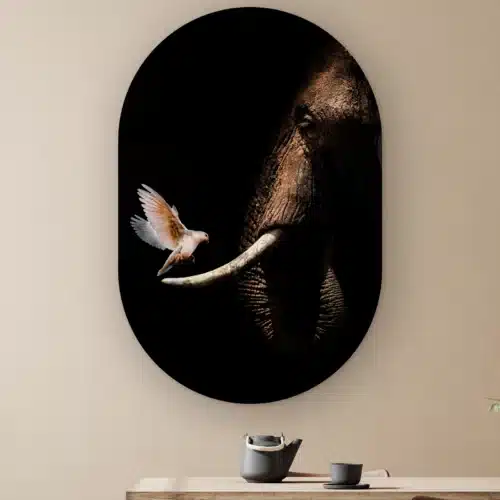 Muurovaal Olifant met duif aan de muur boven een houten tafel met theepot
